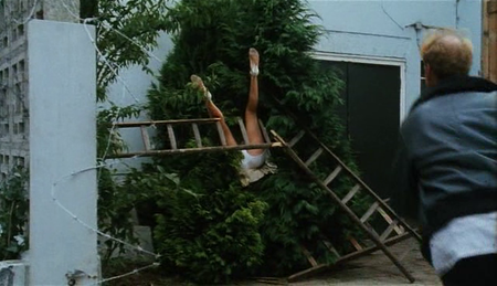 Schatjes! (1984)