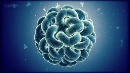 BBC - Winter Viruses and How to Beat Them (2013)