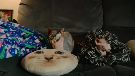 Cat People S01E01