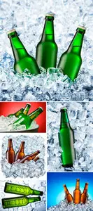 Stock Photo - Beer & Ice