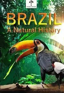 Terra Mater - Brazil: A Natural History (2015)