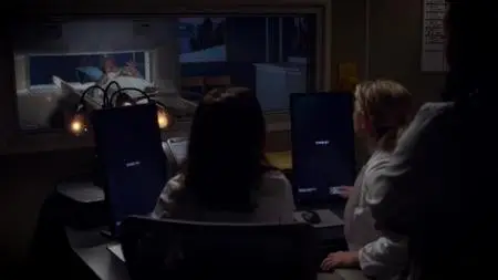 Grey's Anatomy S11E12