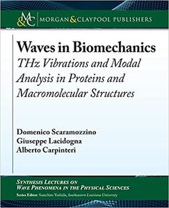 Waves in Biomechanics: Thz Vibrations and Modal Analysis in Proteins and Macromolecular Structures