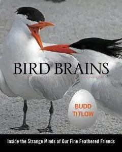 Bird Brains: Inside The Strange Minds Of Our Fine Feathered Friends