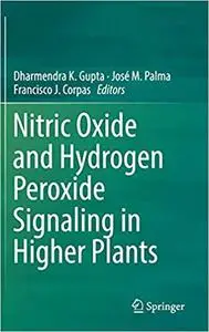 Nitric Oxide and Hydrogen Peroxide Signaling in Higher Plants