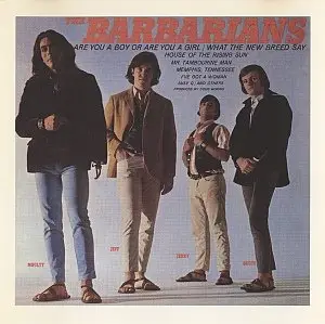 The Barbarians - Are You A Boy Or Are You A Girl [CD Re-issue]