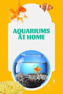 Aquariums at Home: Guide to Caring for Fish