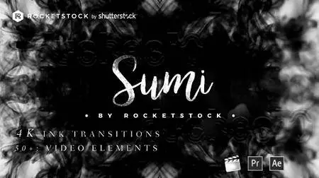 RocketStock - Sumi: 65 Ink Transitions - Motion Graphics