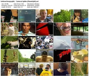 National Geographic: Samurai Spider (2007)