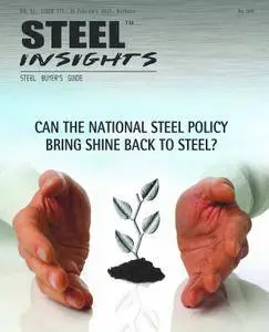 Steel Insights - February 2017