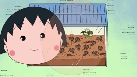 Chibi Maruko chan 1431 480p WEB x264 NanDesuKa (CR mkv