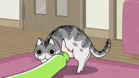Nights With a Cat - S01E09 - Night 9 Can't Quite Lift Him Up