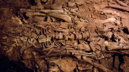 PBS Nova - Roman Catacomb Mystery (2013)