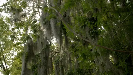Murder in the Bayou S01E04