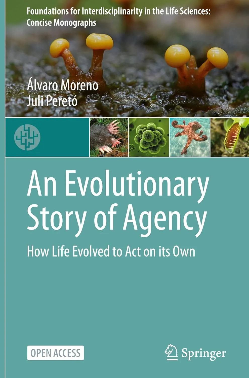 An Evolutionary Story of Agency: How Life Evolved to Act on its Own