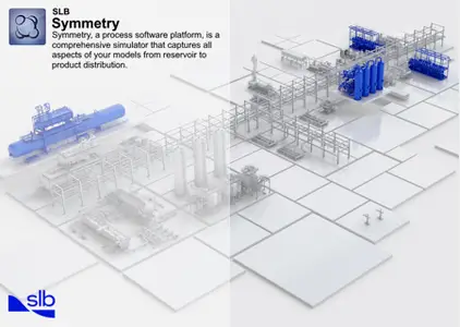 SLB Symmetry 2025.3