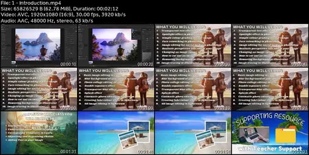Pro Photo Editing With Photoshop Illustrator Lightroom Canva