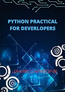 Python Practical for deverlopers: The Road To Becoming A Professional Python Developer