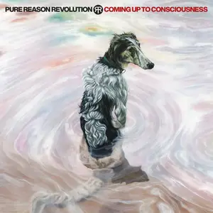 Pure Reason Revolution - Coming Up To Consciousness (2024)