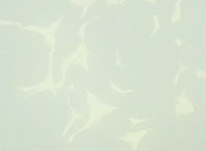 meow meow Genesis Climber Mospeada (1983 S01E16 Trap Reggae Bunny mkv" yEnc