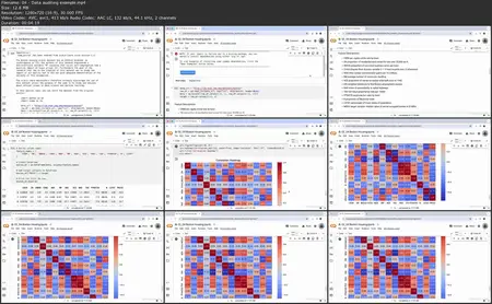 Applied AI Auditing in Python