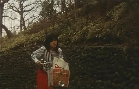 School in the Crosshairs / Nerawareta gakuen (1981)