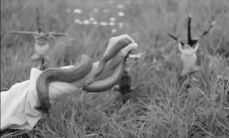 Das Gespenst (1982)