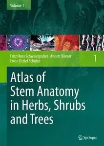 Atlas of Stem Anatomy in Herbs, Shrubs and Trees: Volume 1