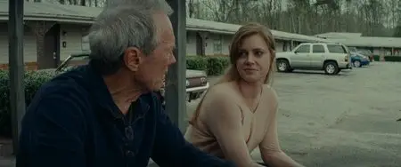 Une nouvelle chance (2012)