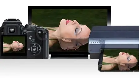 Color Management with Eddie Tapp