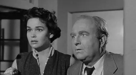 The Phenix City Story (1955)