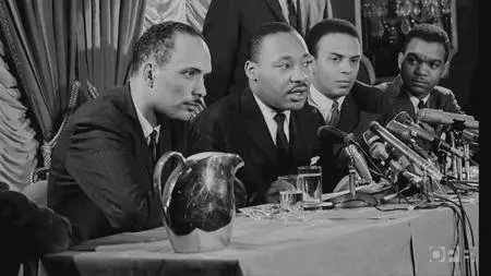 PBS - Black America Since MLK: And Still I Rise (2016)