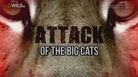 National Geographic Wild - Attack Of The Big Cats (2012)