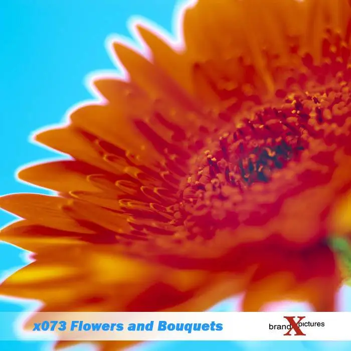 Brand X Vol. 073 Flowers and Bouquets