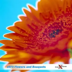 Brand X Vol. 073 Flowers and Bouquets