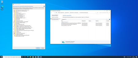 Windows 10 Version 20H2(2004) build 19042(19041).1237 Business & Consumer Editions