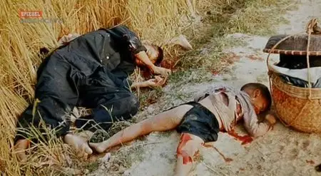 Blutbad My Lai (2010)