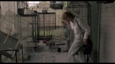 Killing Birds (1988)