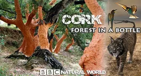 BBC Natural World: Cork - Forest in a Bottle (2009)