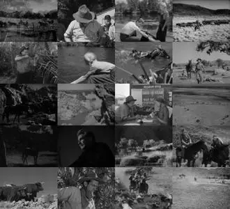 The Overlanders (1946)