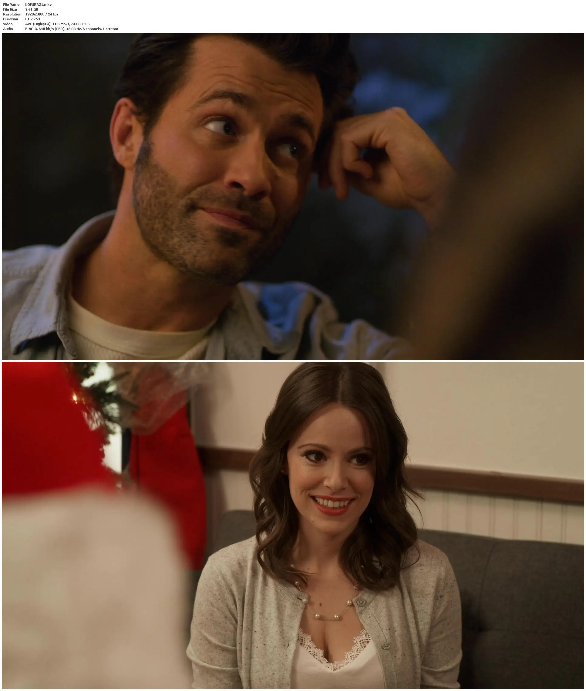 Furry Little Christmas (2021) / AvaxHome