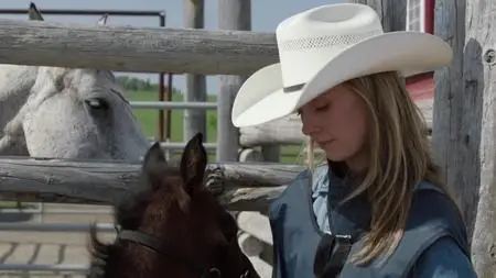 Heartland S12E01