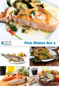 Photos - Fish Dishes Set 3