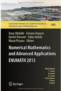 Numerical Mathematics and Advanced Applications - ENUMATH 2013
