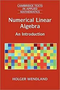 Numerical Linear Algebra: An Introduction