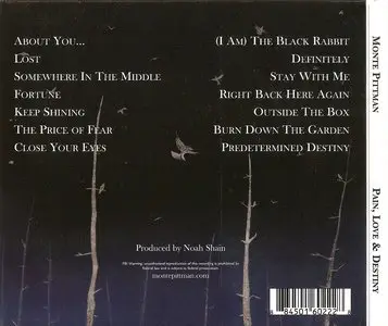 Monte Pittman - Pain, Love & Destiny (2011)