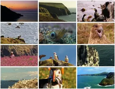 BBC Natural World - Saving Our Seabirds (2007)