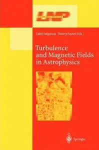 Turbulence and Magnetic Fields in Astrophysics (Repost)