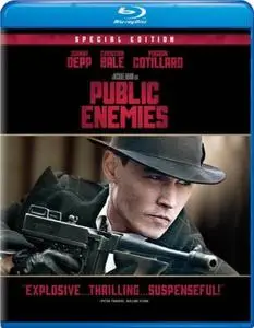 Public Enemies (2009) [MultiSubs] + Commentary