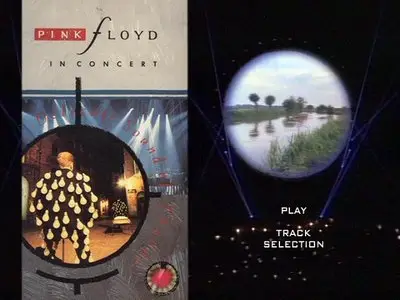 Pink Floyd - Delicate Sound of Thunder DVD (1989)